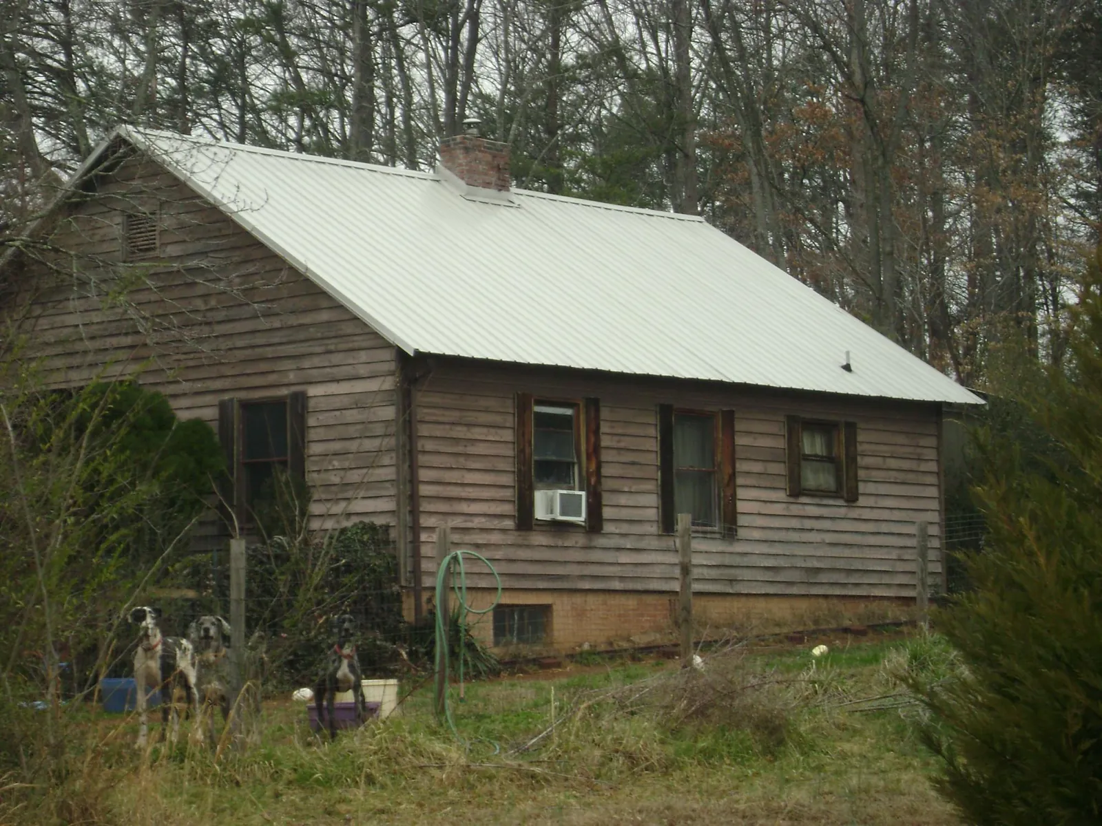 White metal roof on an old wood sided farmhouse, from a Asphalt Shingle Roof Repair job in Saint Thomas